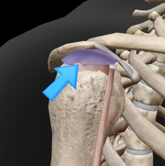 se 87e3851e db71 4382 b909 ce2c1a8a9138